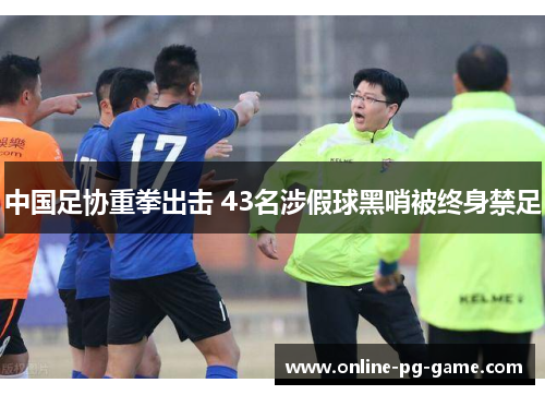 中国足协重拳出击 43名涉假球黑哨被终身禁足