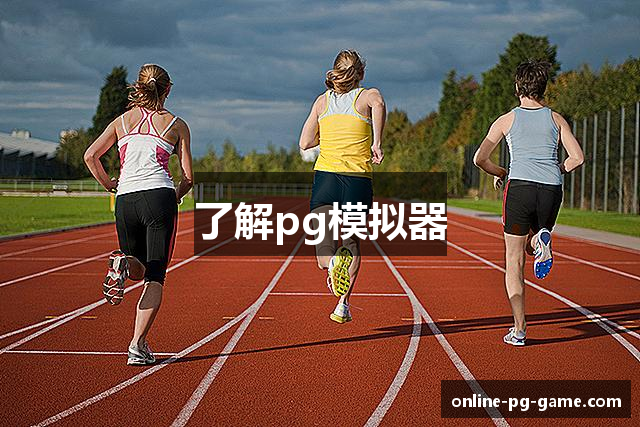 了解pg模拟器